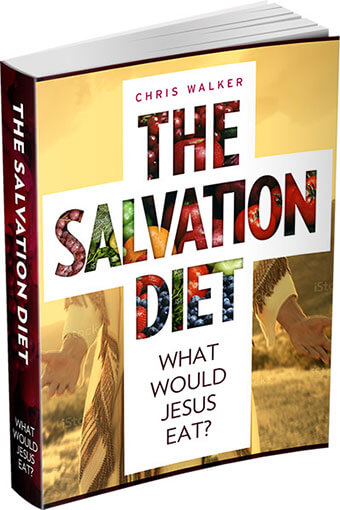 The Salvation Diet Ebook