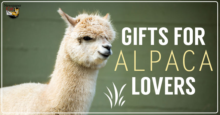 Lots Of Awesome Cute & Unique Gifts And Gift Ideas For Alpaca Lovers, Owners, And Farmers