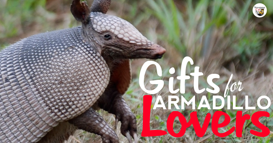 Awesome and unique armadillo gifts and gift ideas for armadillo lovers.