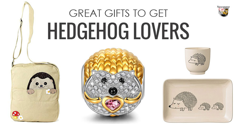 Find the best gifts for hedgehog lovers from the cute to the unique and unusual.