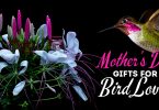 Fun Mother's Day Gifts And Gift Ideas For Bird Lovers And Backyard Bird Watchers.