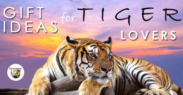 Cool tiger gifts and unique gifts and gift ideas for tiger lovers.